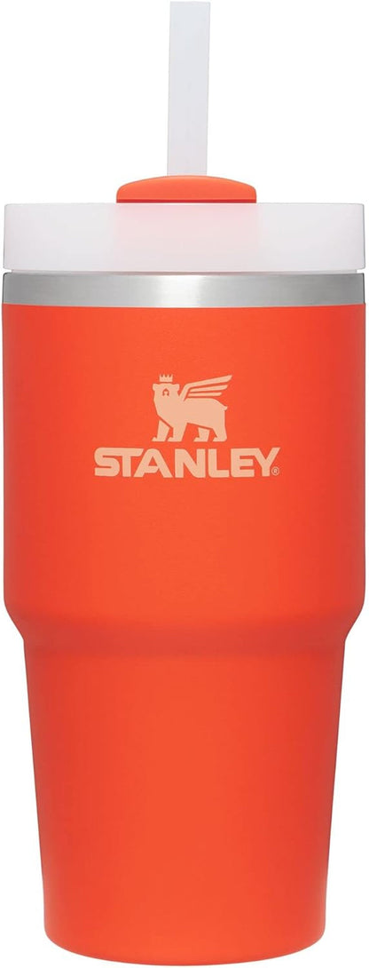 Quencher H2.0 Flowstate Stainless Steel